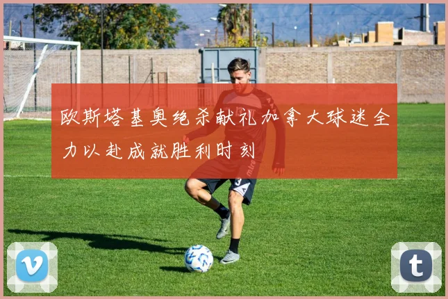 欧斯塔基奥绝杀献礼加拿大球迷全力以赴成就胜利时刻
