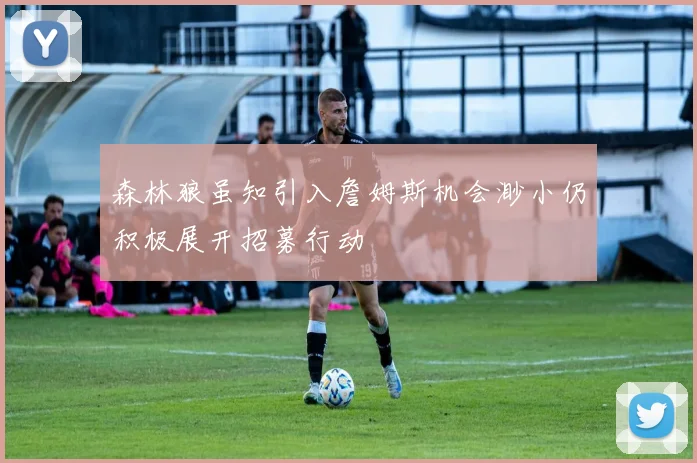 森林狼虽知引入詹姆斯机会渺小仍积极展开招募行动